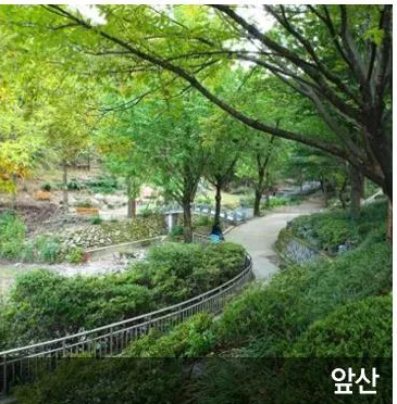 앞산