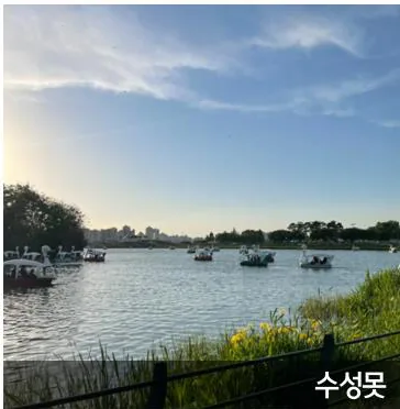 수성못